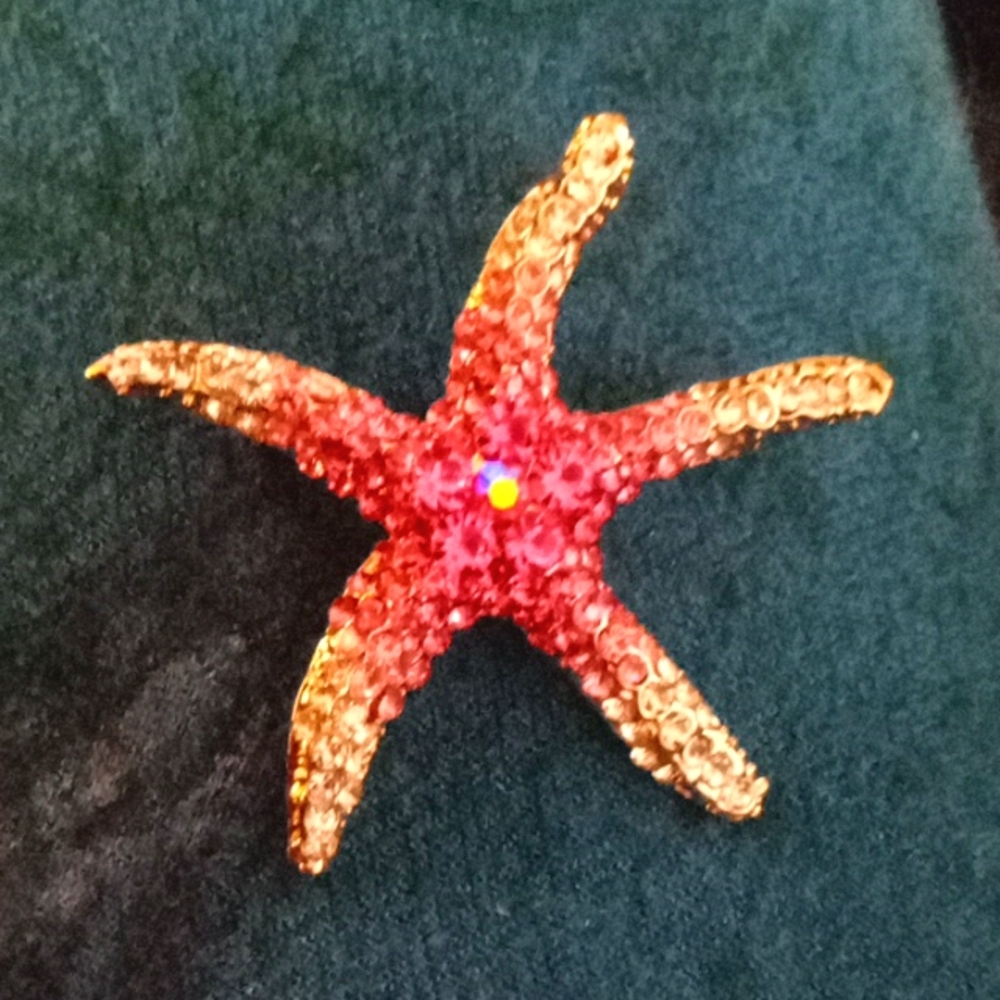 Elegant Starfish Brooch in Red and Gold